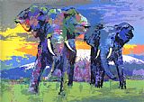 Kilimanjaro Bulls
